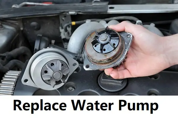 When replacing a water pump what else should you replace